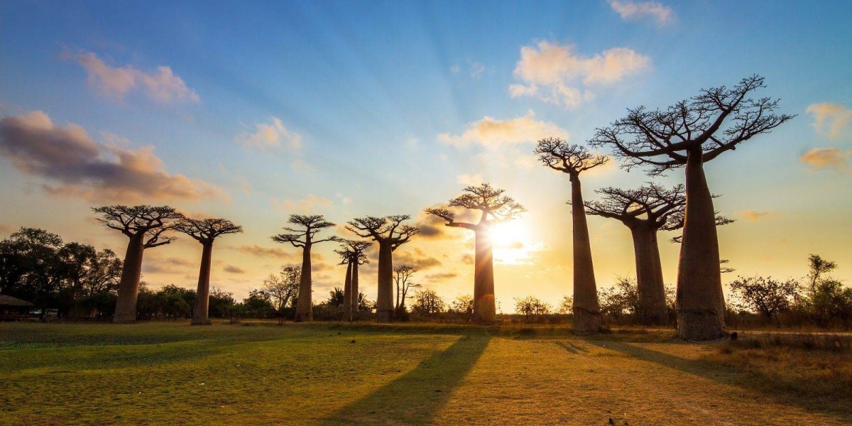 Madagascar eVisa for Spanish Citizens: Everything You Need to Know