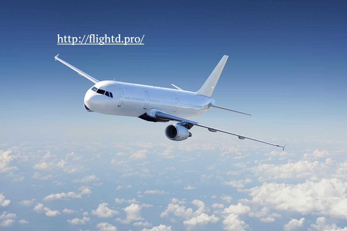 flightd pro Profile Picture