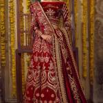 Mohsin Naveed Ranjha Profile Picture