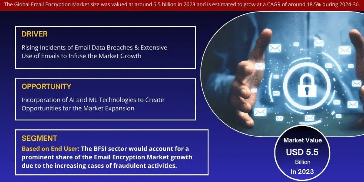 Email Encryption Market Size, Growth, Share and Competitive Landscape - 2030