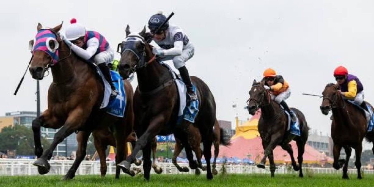 The Ultimate Guide to Choosing the Best Betting App in 2025