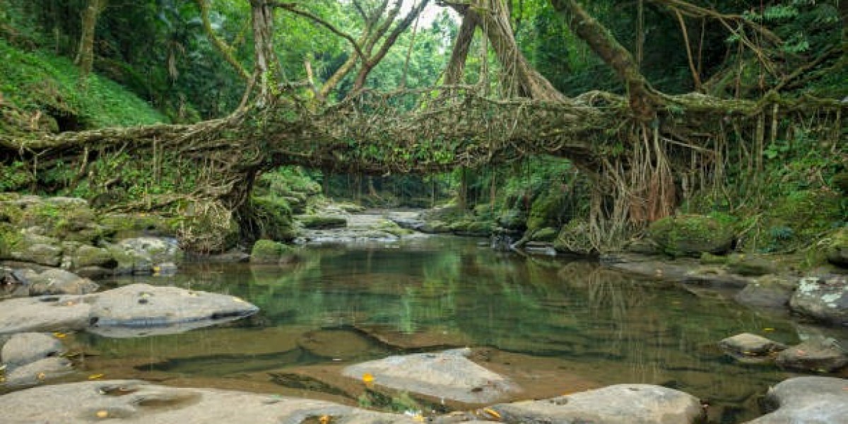 Why Meghalaya Should Be Your Next Travel Destination