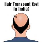 Gaurav Sharma Sharma Profile Picture