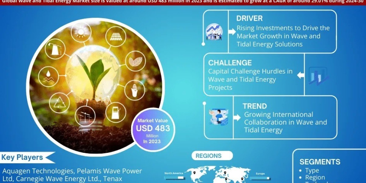 Wave and Tidal Energy Market Dynamics – Driver, Challenge, Segment & Competition FY2030