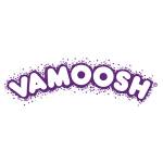 Vamoosh Cleans Profile Picture