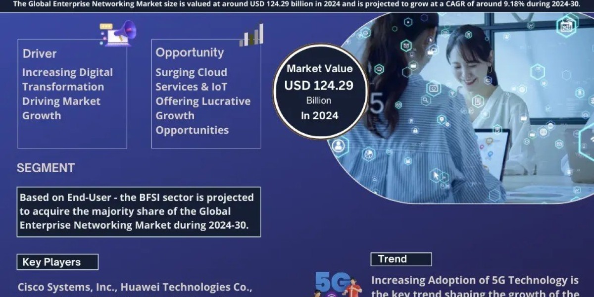 Enterprise Networking Market Size, Growth, Share and Competitive Landscape - 2030