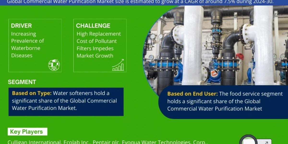 Commercial Water Purification Market Competitive Landscape and Future Outlook 2030