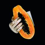 Mynightmate Online Store Profile Picture