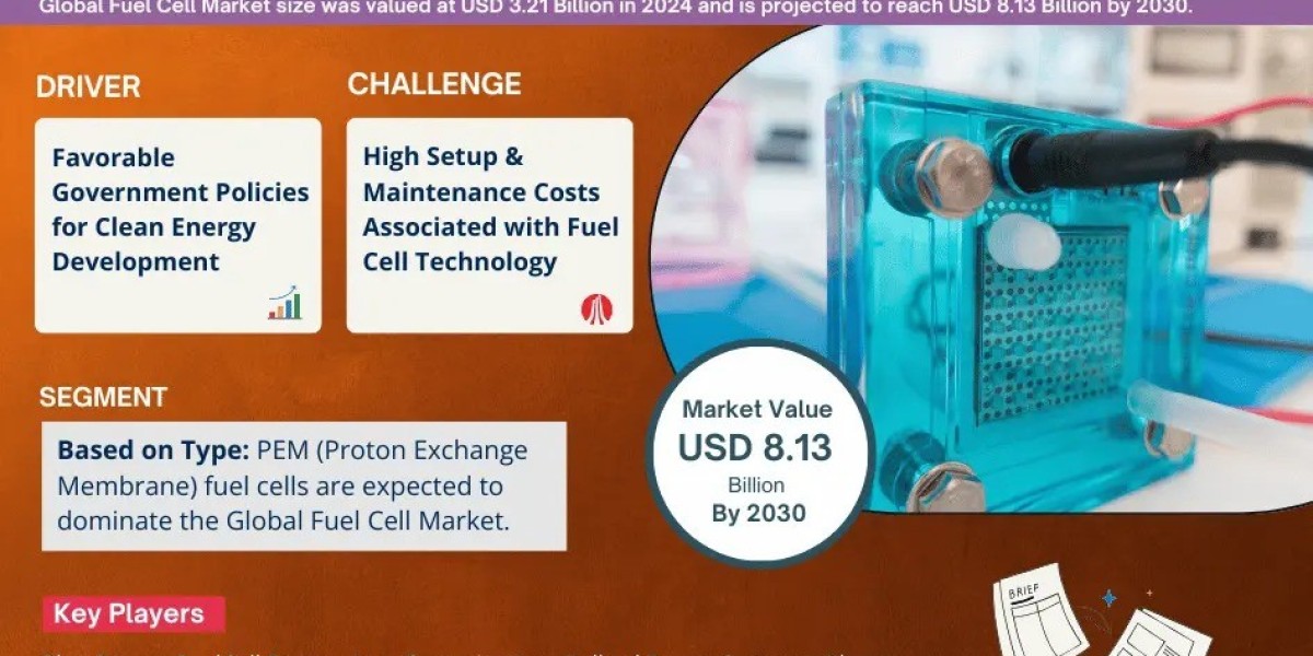 Fuel Cell Market Size, Growth, Share and Competitive Landscape - 2030