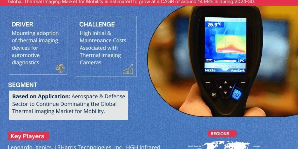 Thermal Imaging Market for Mobility Industry Market Segment, Companies, Trend & Growth Analysis 2024-30