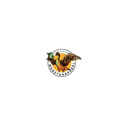 MoreThanPanel Official Profile Picture