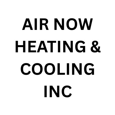 AIR NOW HEATING AND COOLING INC Profile Picture