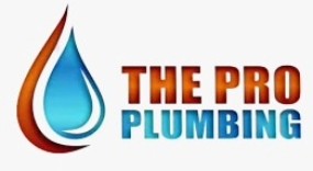 The Pro Plumbing Profile Picture