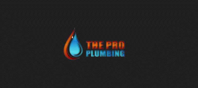 The Pro Plumbing Profile Picture