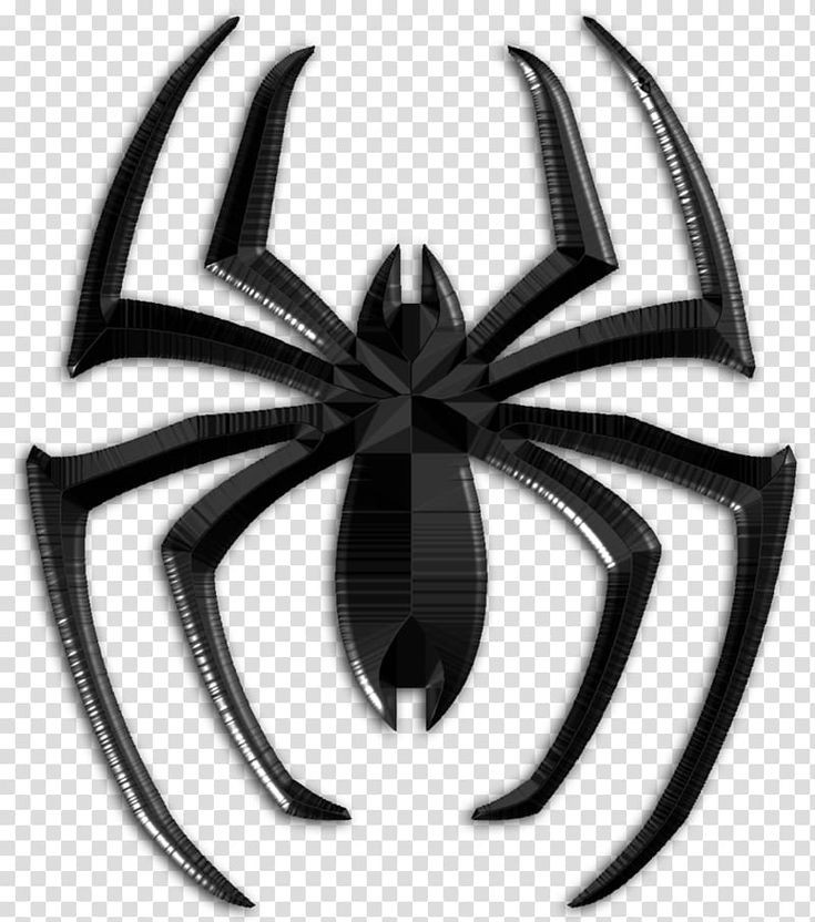 Sp5der Clothing Profile Picture