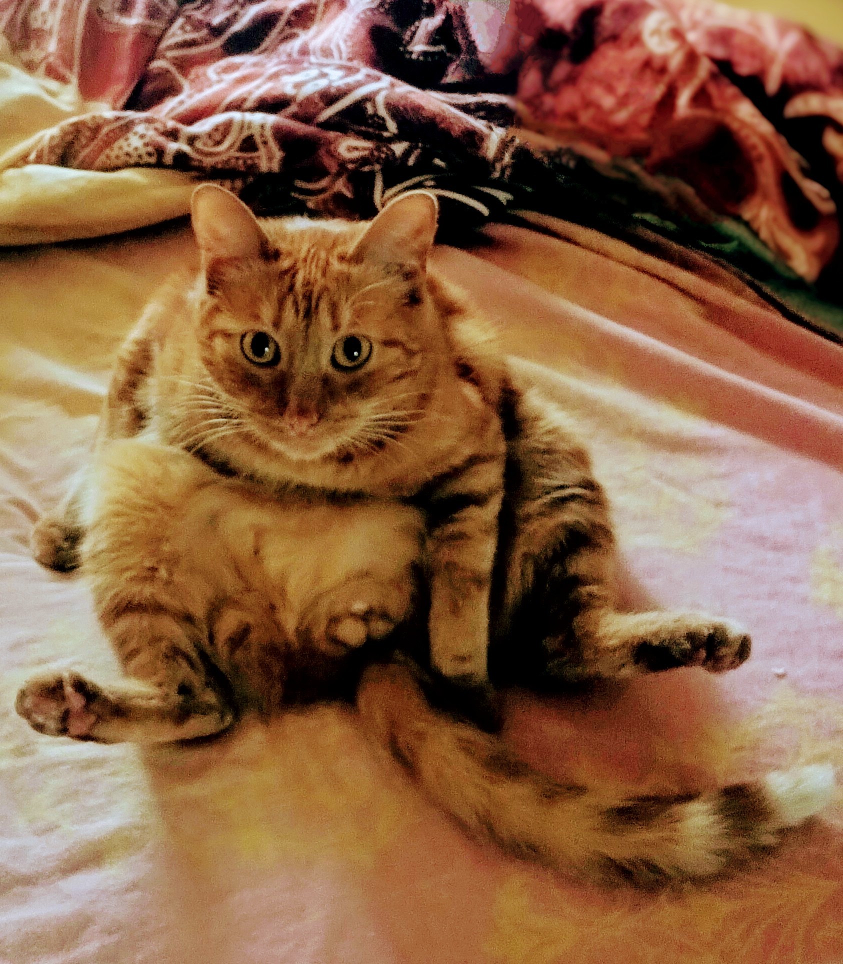 karma Profile Picture