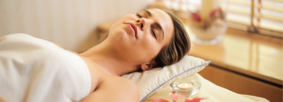 The Wellness Haven Cover Image