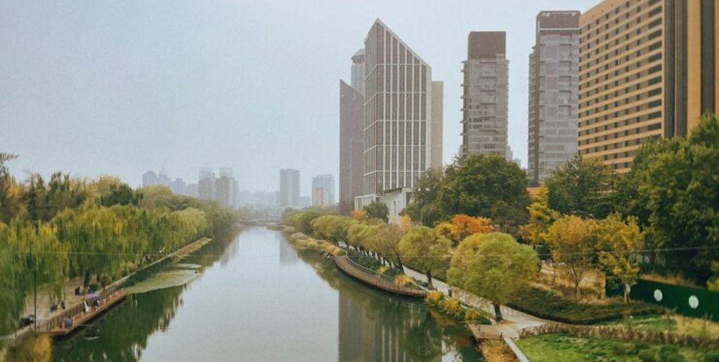 Where is Turkish Airlines Office in Chicago, USA 1-844-331-3321