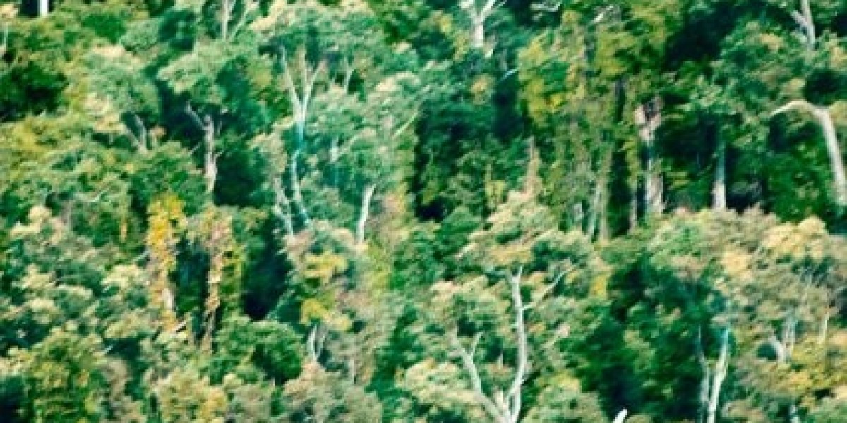Article Picture