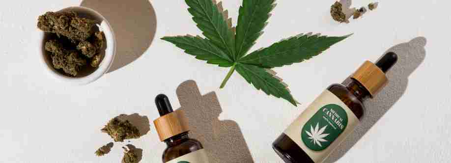 My Florida Green Cover Image